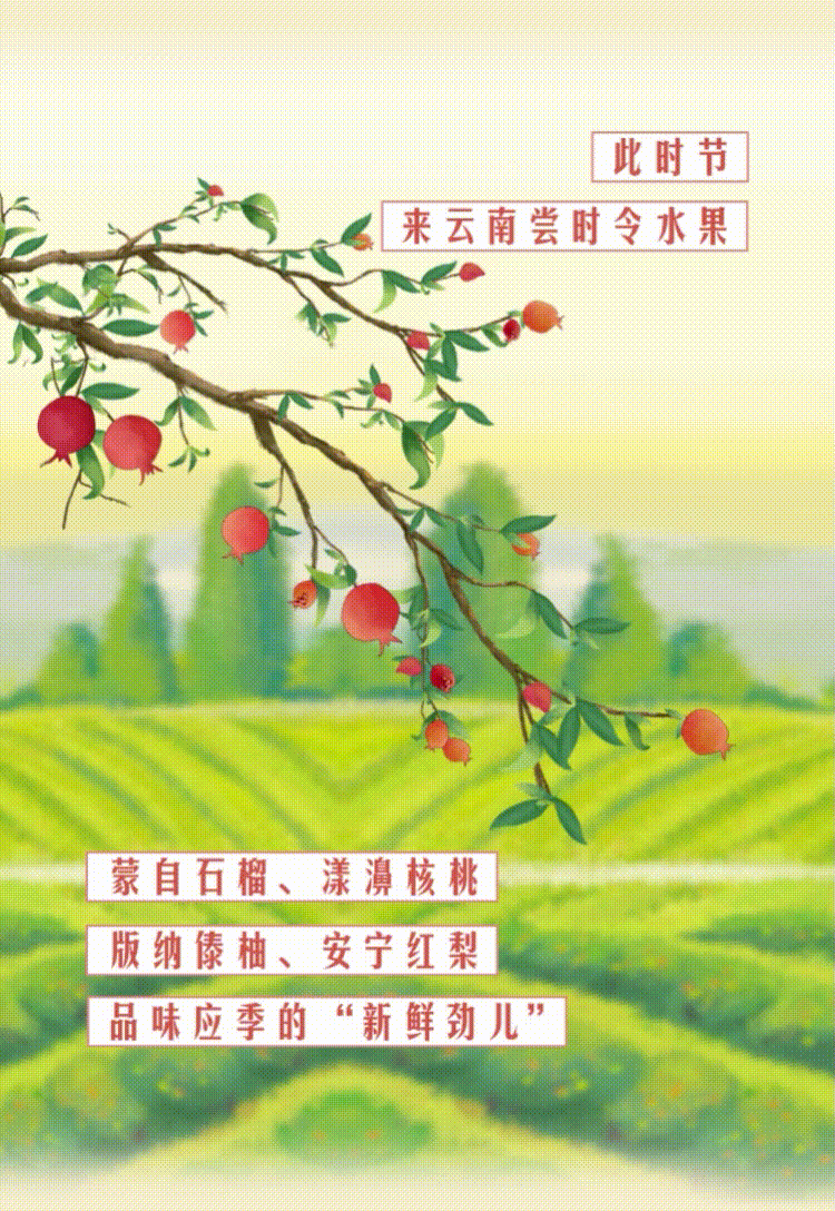 云南省人民政府网