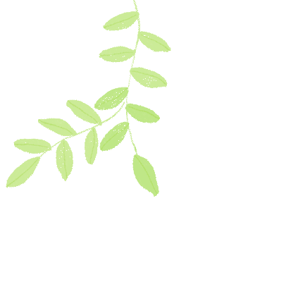 盘龙教育