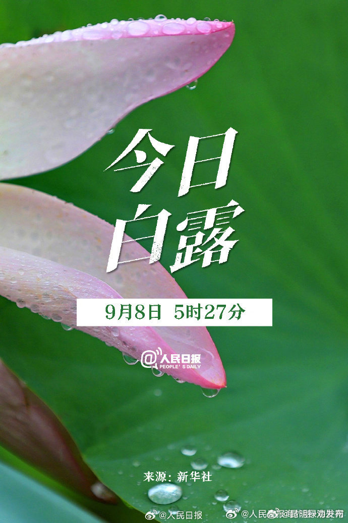 今日白露，昼夜温差最大的节气到了