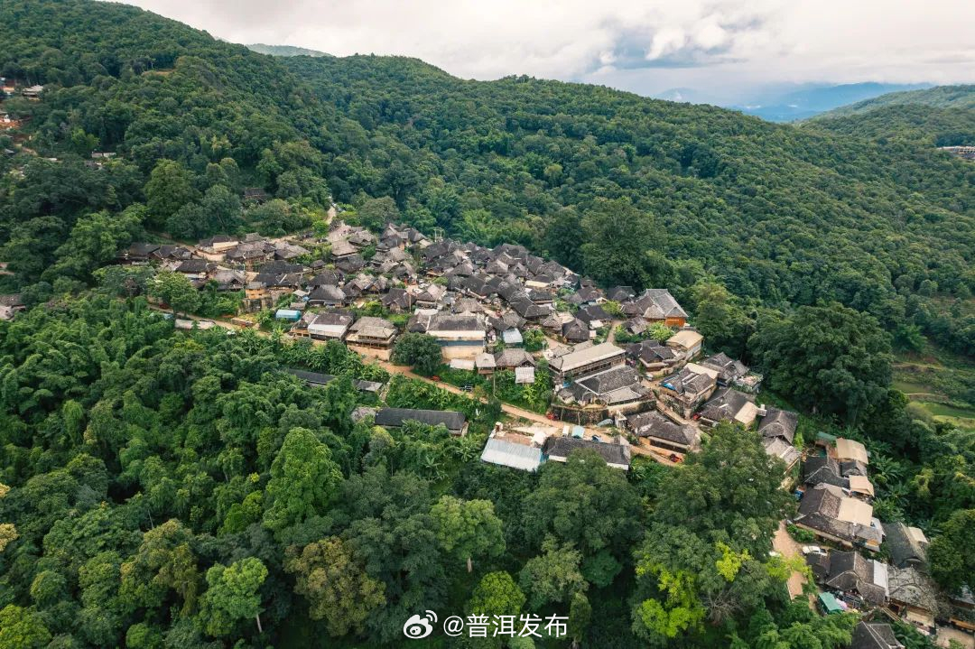 普洱发布