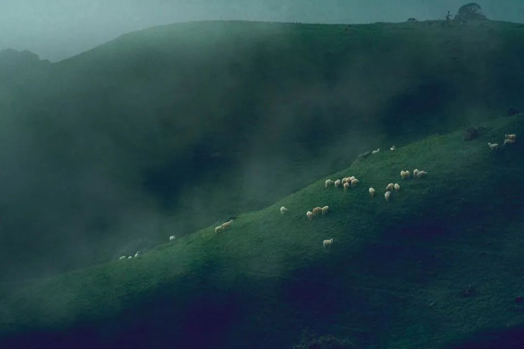 云南省文化和旅游厅