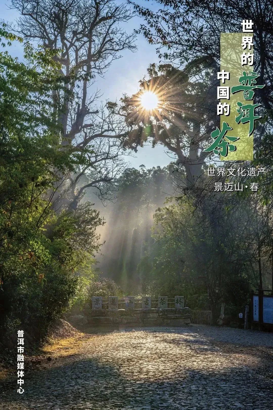 云南网