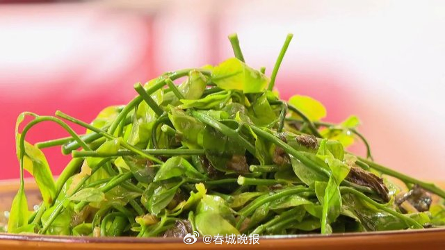 古韵新城 水墨石屏 | 甘美甜菜 属于石屏人的春天记忆