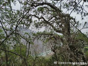 昆明经济技术开发区管委会