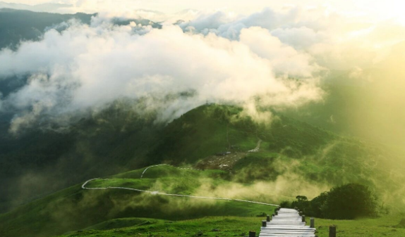 云南省文化和旅游厅