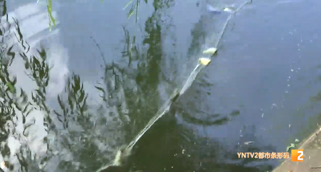 昆明信息港/cnkmxxg