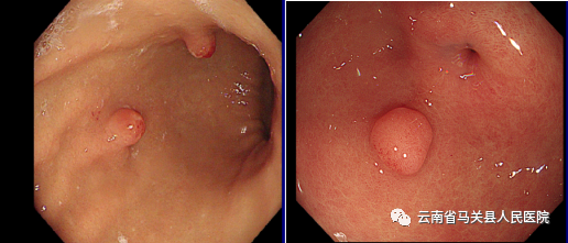 云南省马关县人民医院