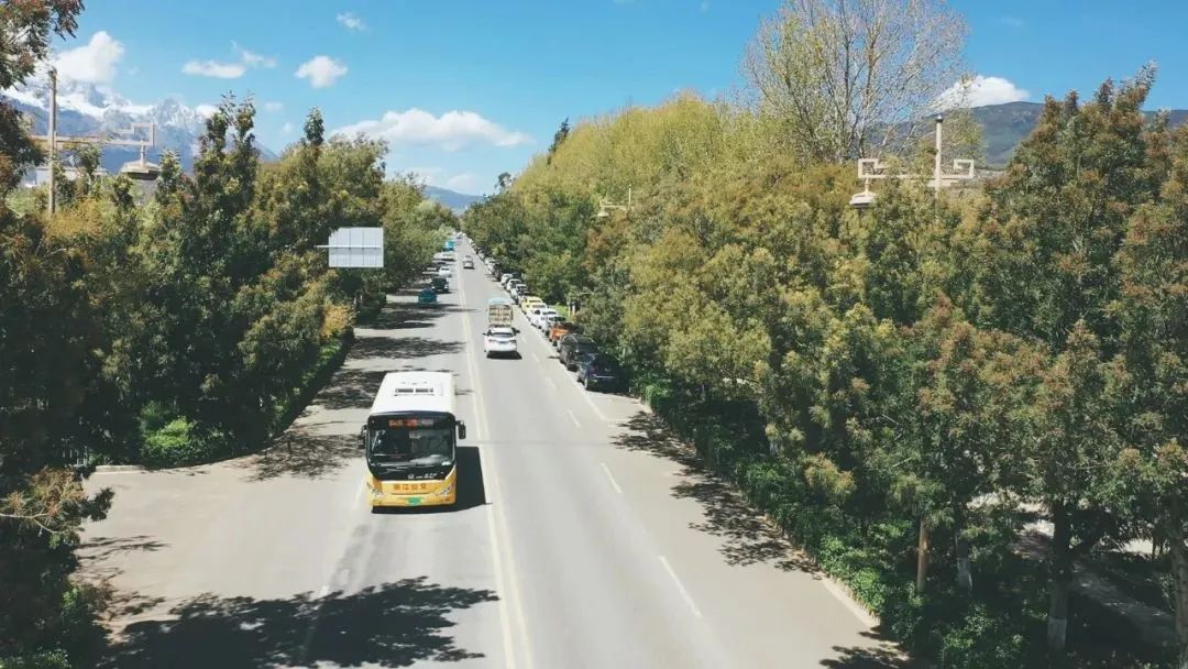 丽江日报