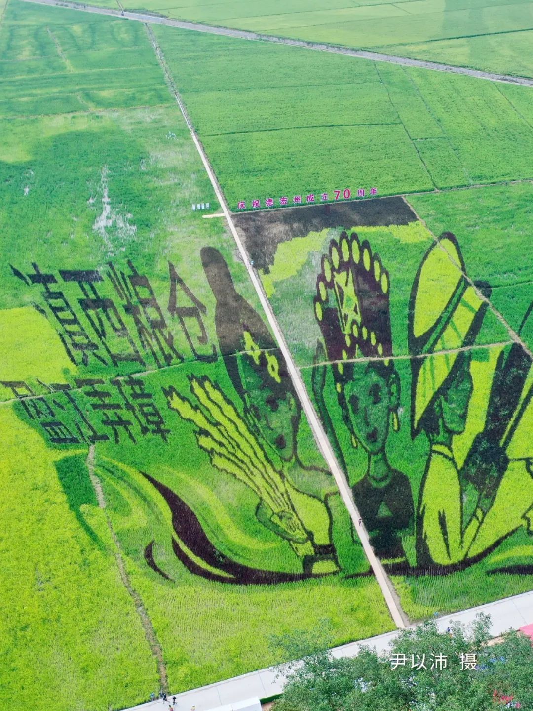 云南省文化和旅游厅