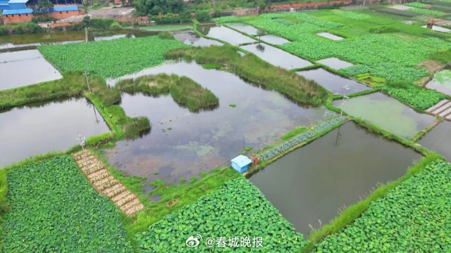 古韵新城 水墨石屏 | 守护绿水青山 执笔异龙故事