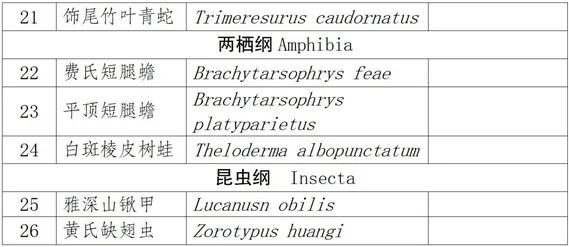 云南省人民政府网