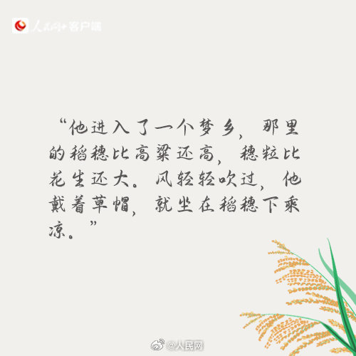 人民网