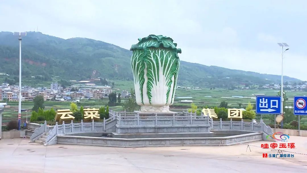 玉溪先锋