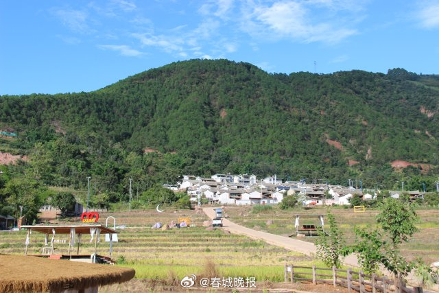 古韵新城 水墨石屏 | 大桥乡：美丽乡村的“掘金”探索