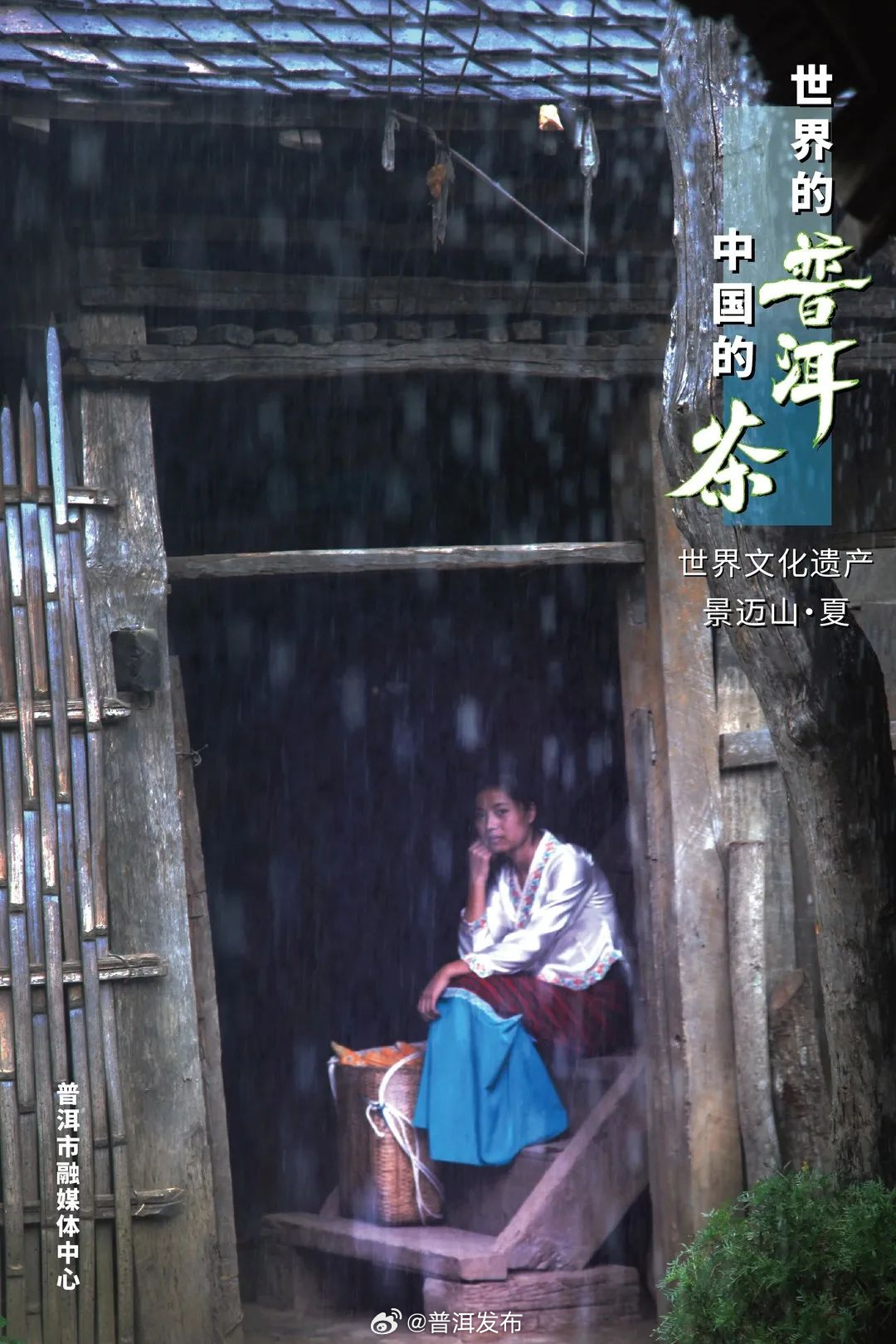 普洱发布