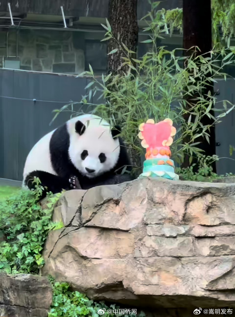 嵩明发布