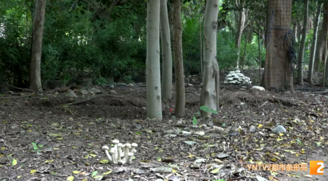 昆明信息港/cnkmxxg