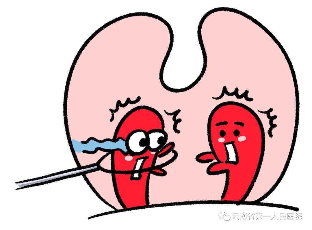 云南省第一人民医院