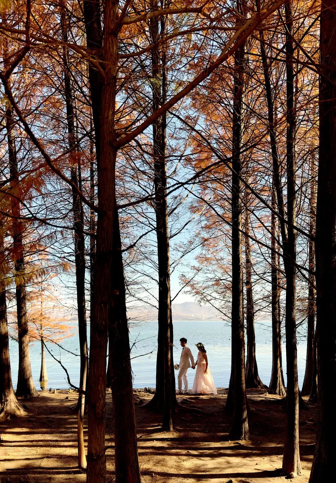 云南省文化和旅游厅