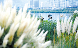 昆明市文化和旅游局