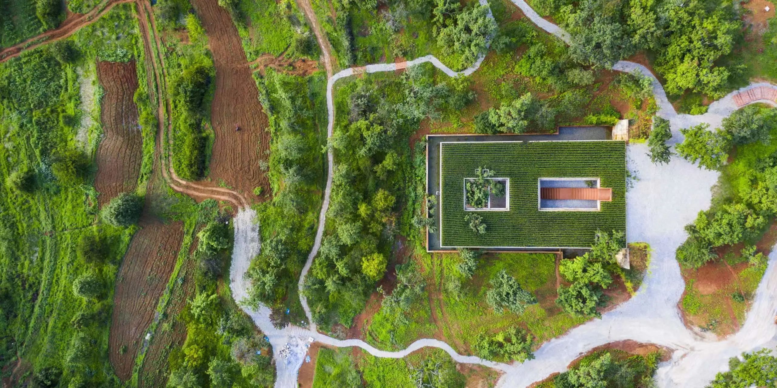 云南省文化和旅游厅