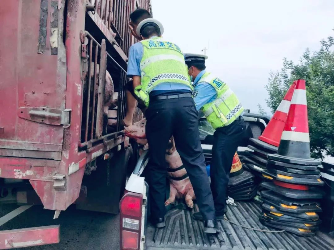 云南高速交警