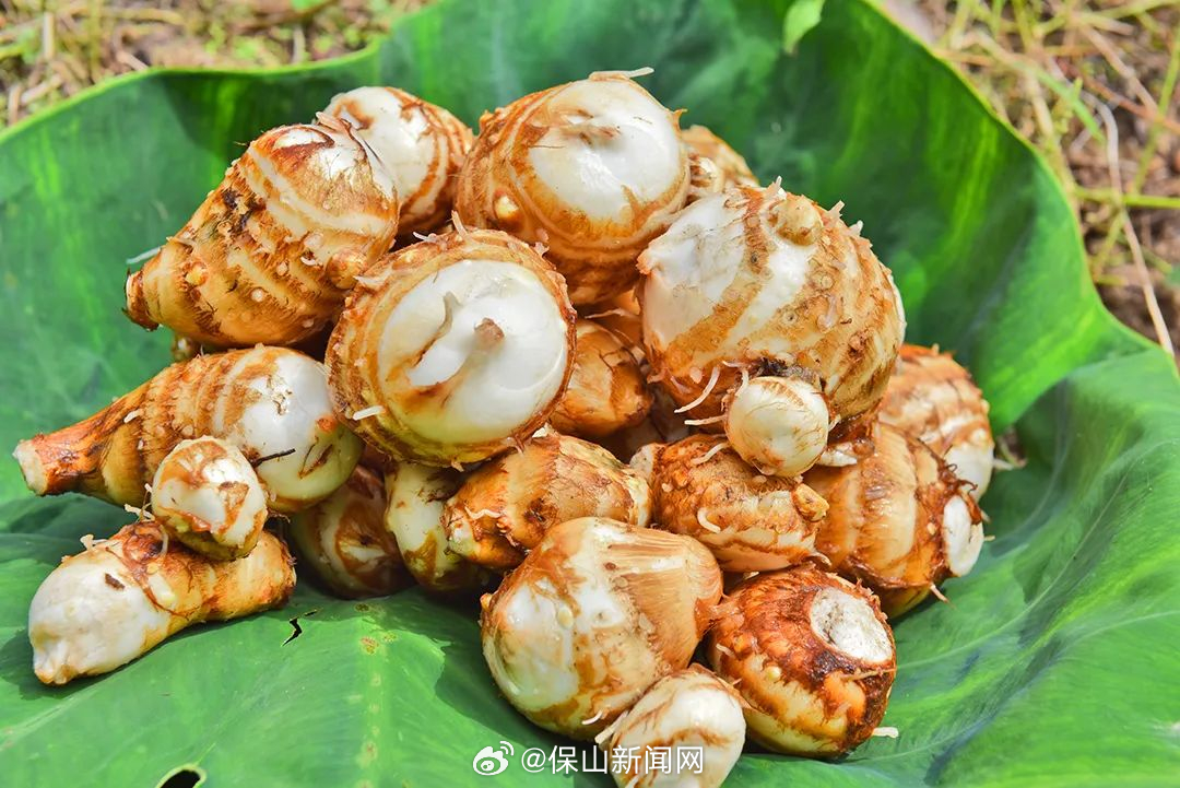 保山新闻网