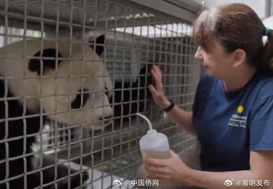 嵩明发布