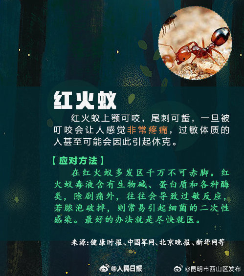 昆明市西山区发布