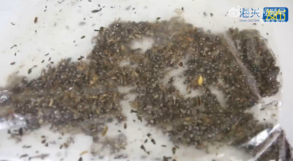 昆明信息港/cnkmxxg