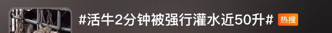 昆明信息港/cnkmxxg
