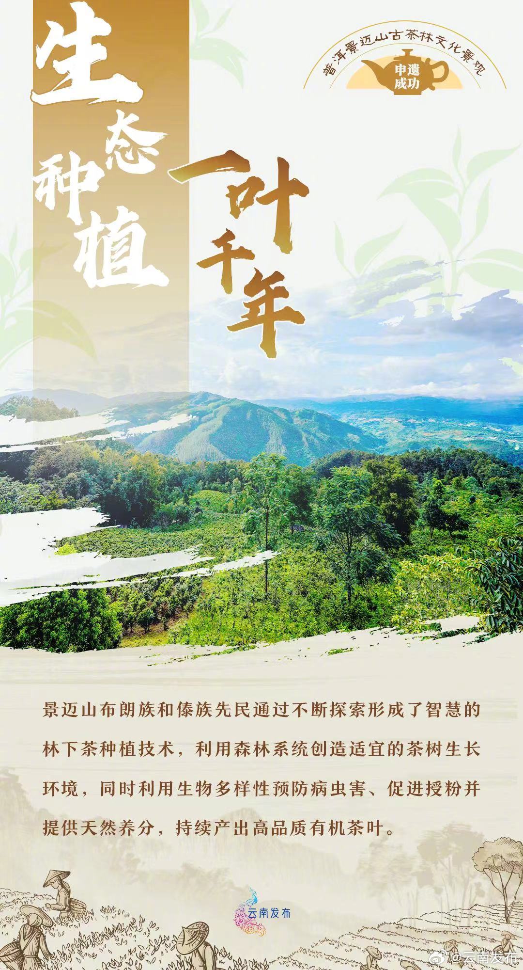 云南发布