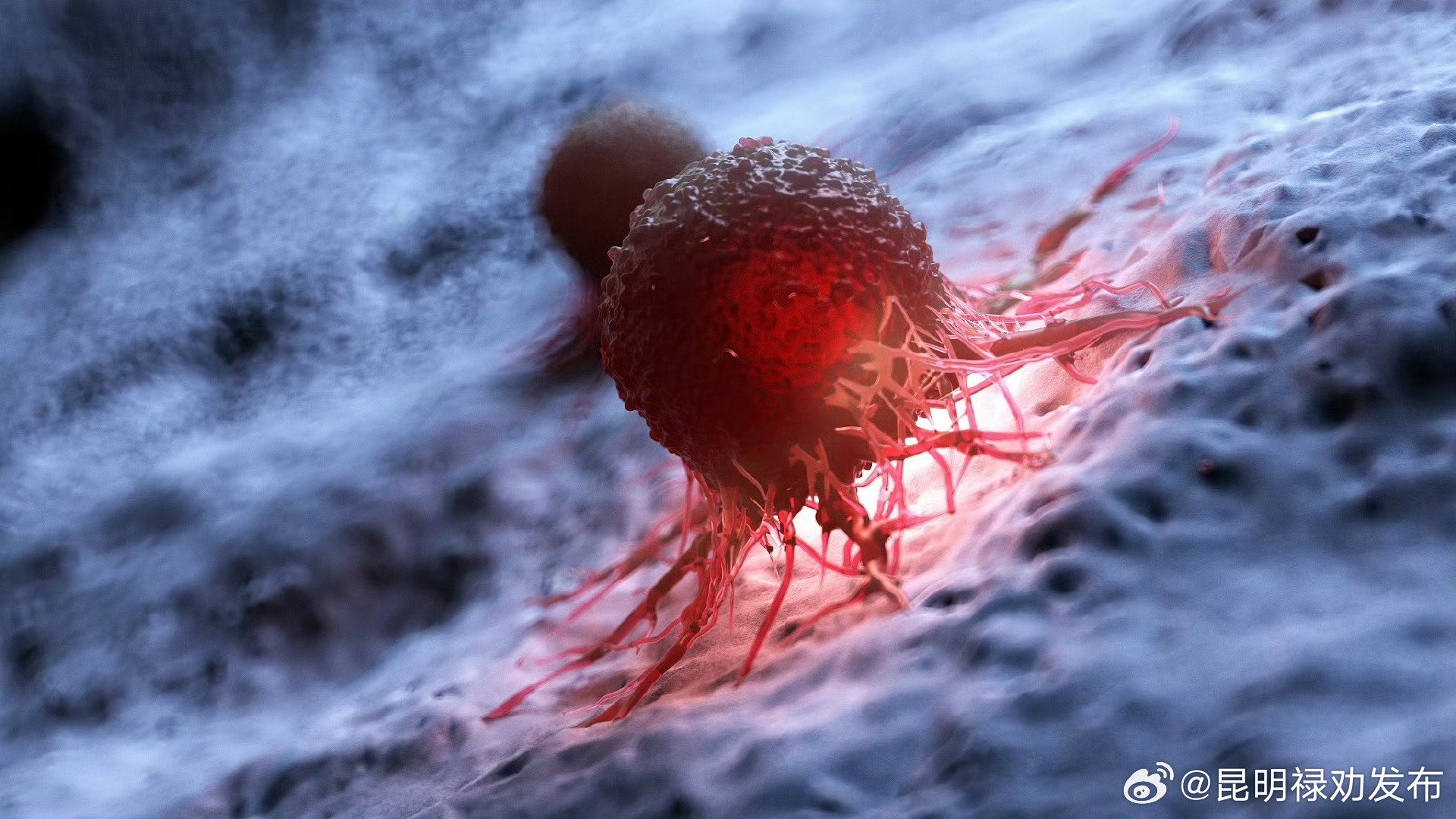 基因编辑技术将癌细胞变为健康细胞