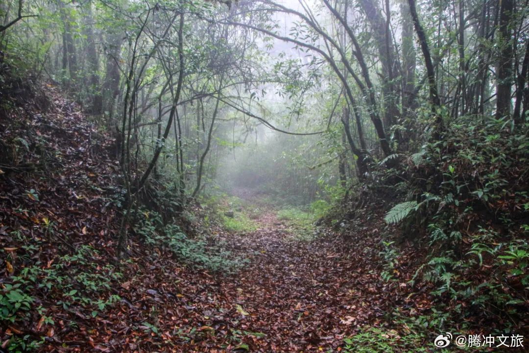 腾冲文旅