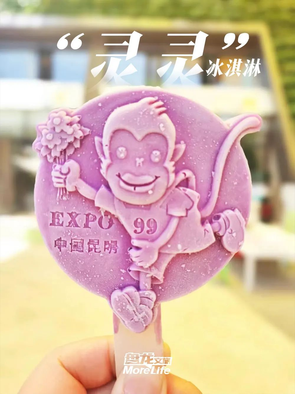 盘龙统战
