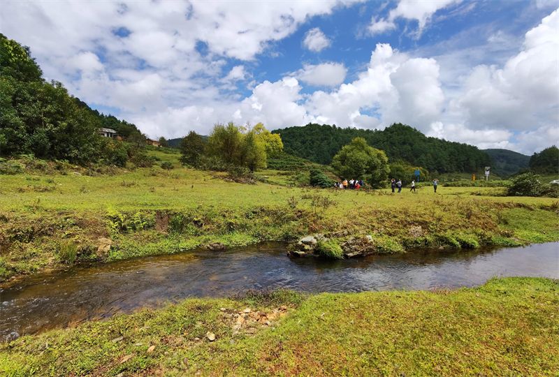 云南省文化和旅游厅
