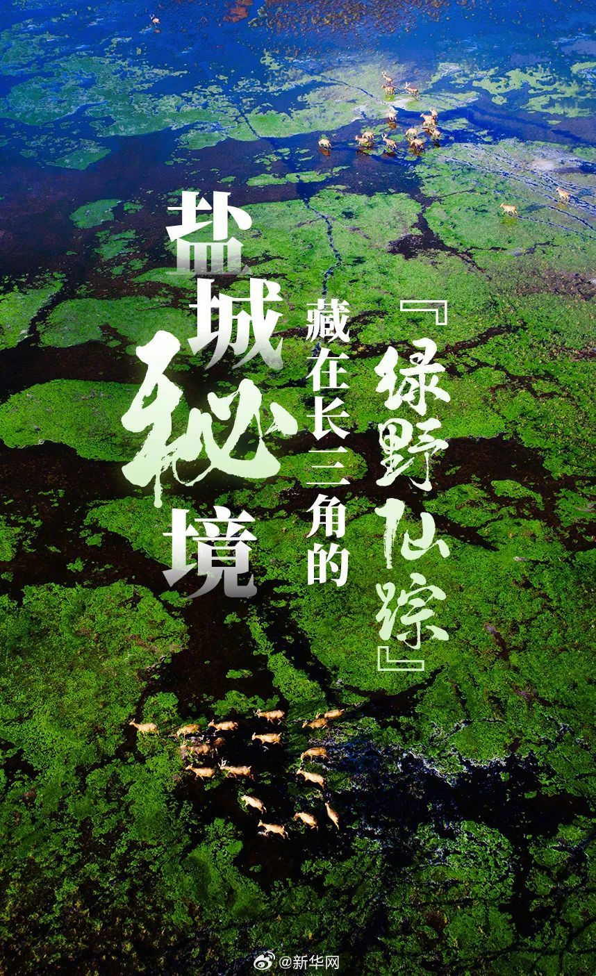 新华网