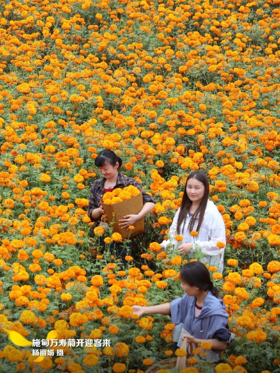 云南省文化和旅游厅