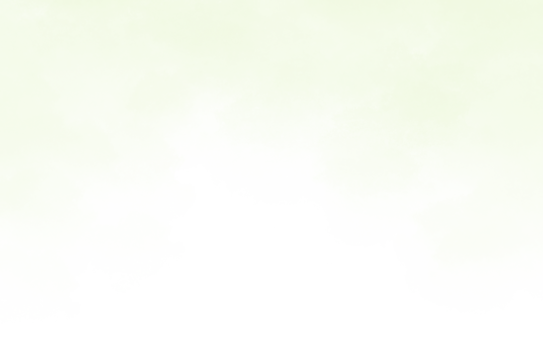盘龙教育