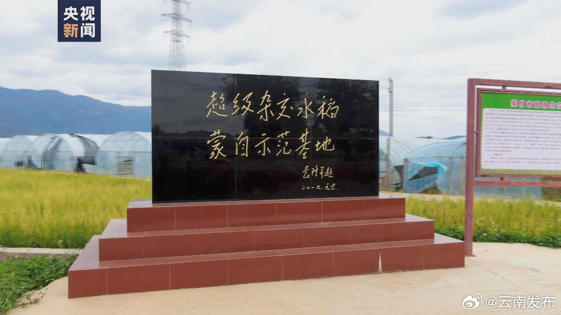 云南发布