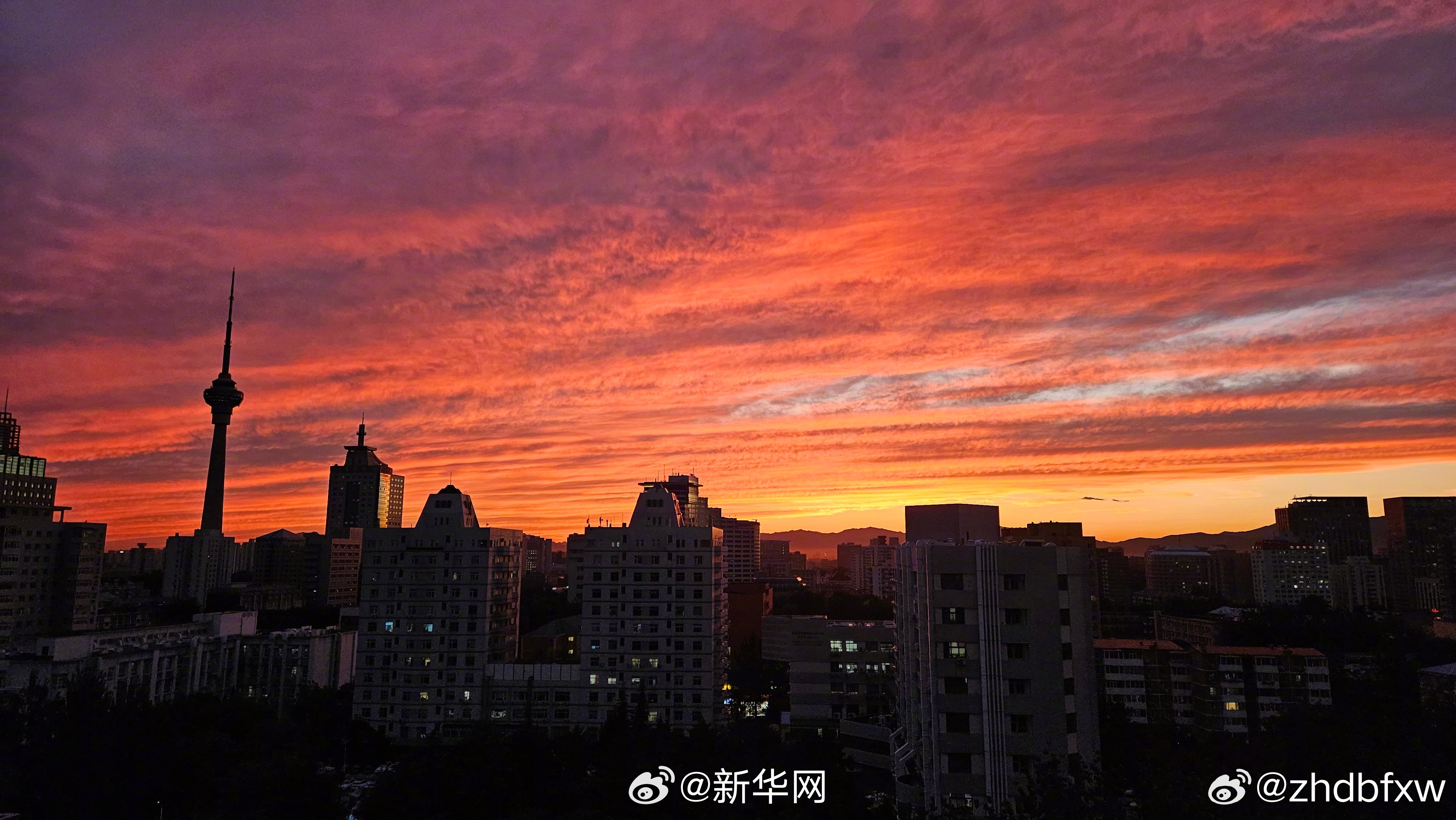 新华网