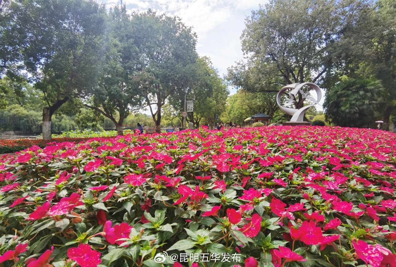昆明五华发布