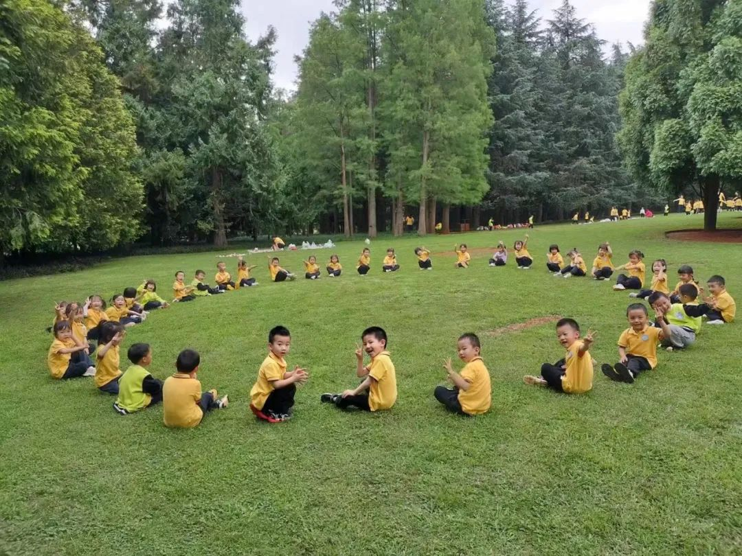 盘龙教育
