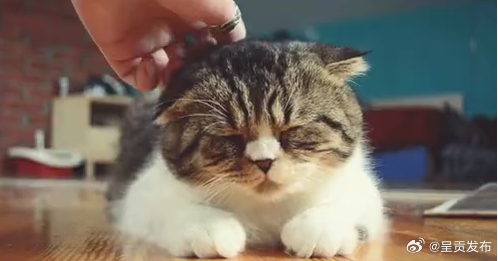 当你睡着后身体在干嘛 