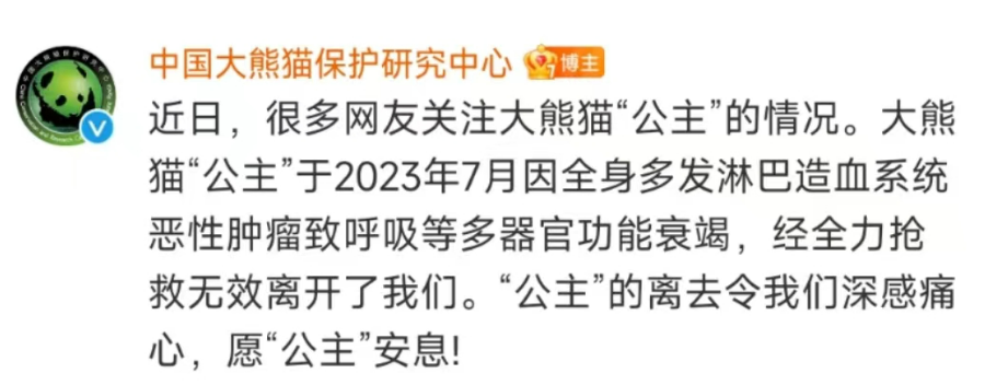 掌上春城微信