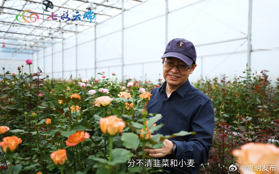 花卉专家王继华：种花是全世界最好的工作