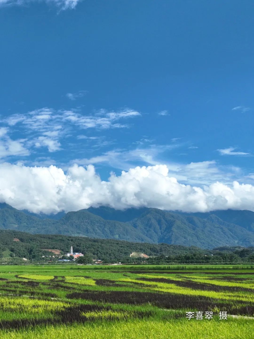 云南省文化和旅游厅