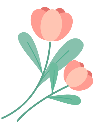 西双版纳望天树景区