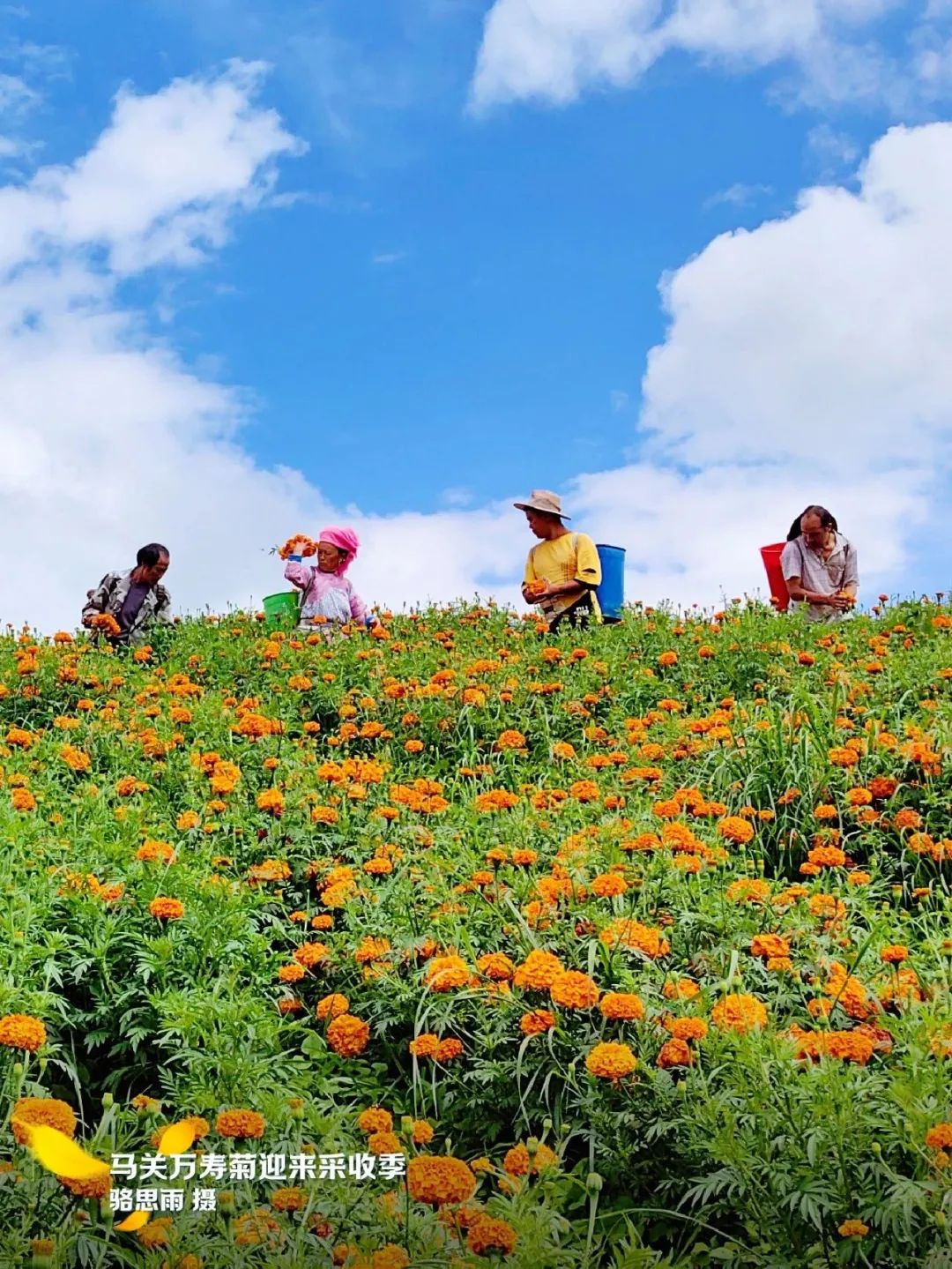 云南省文化和旅游厅