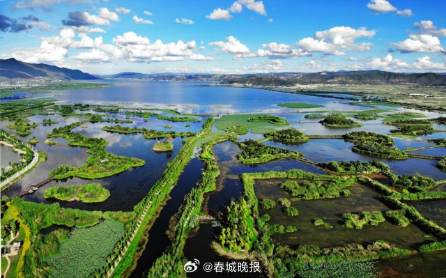 古韵新城 水墨石屏｜特色农业优势迸发 乡村和美农家欢歌